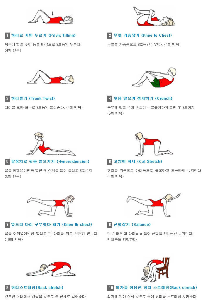 •허리 근력 강화를 위한 운동 방법